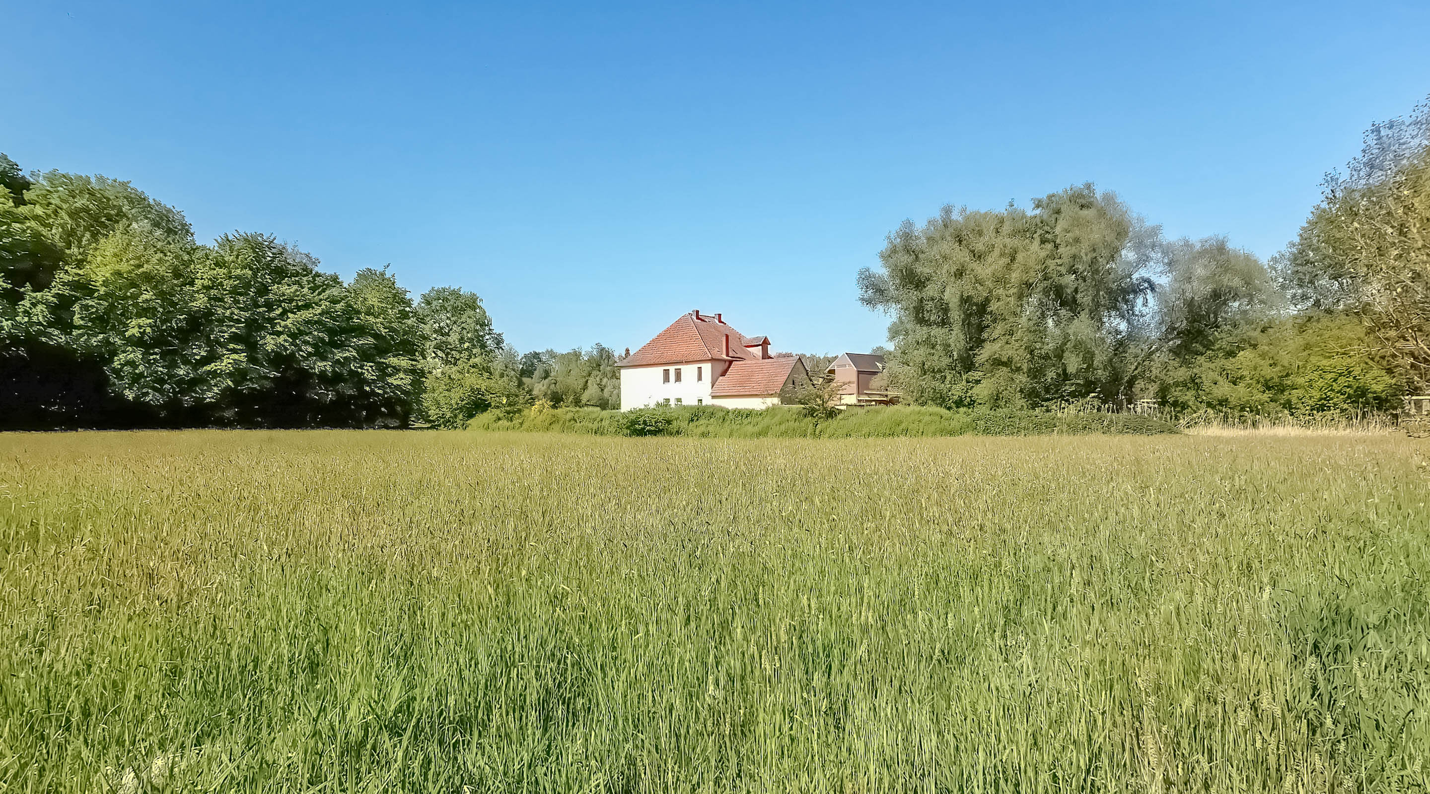 Artenschutzhaus Pampel