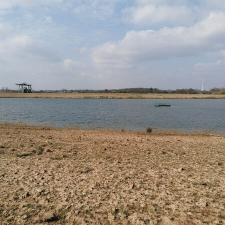 Flussseeschwalbe Kieswerk Stolzenau