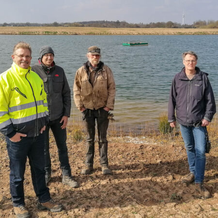 Flussseeschwalbe Kieswerk Stolzenau