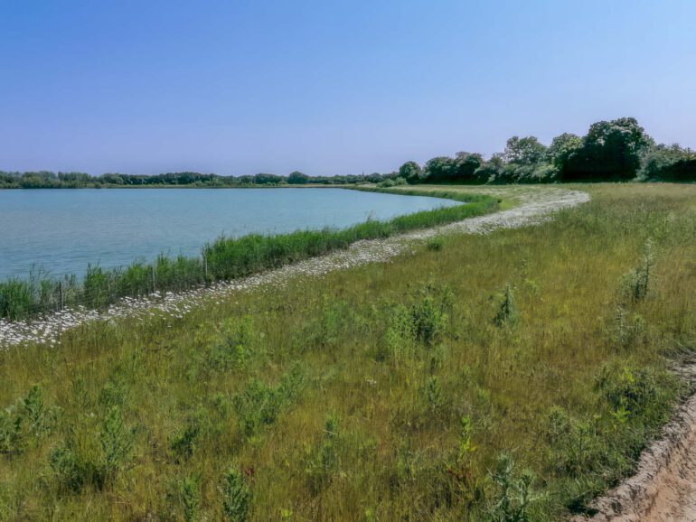 Schilfanpflanzung Stolzenau