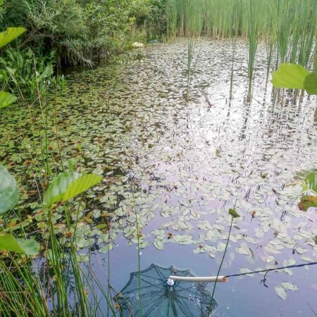 Gewässer im Kieswerk