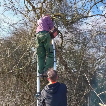 Der NABU Rinteln bei der Nistkastenaktion im „Birnbaumland“ Rinteln (Foto: © Christian Höppner/patroVIT).