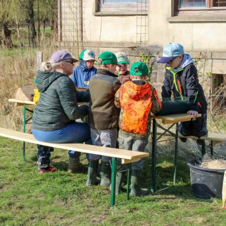 Hier wird aus trockenen Holzscheiten ein neues Zuhause für Wildbienen gestaltet