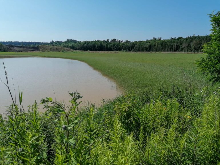 Kieswerk Möllenbeck