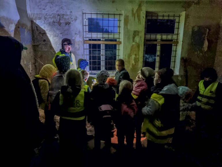 Fledermausaktionstag