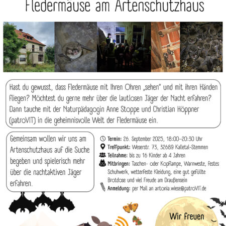 Fledermäuse im Artenschutzhaus