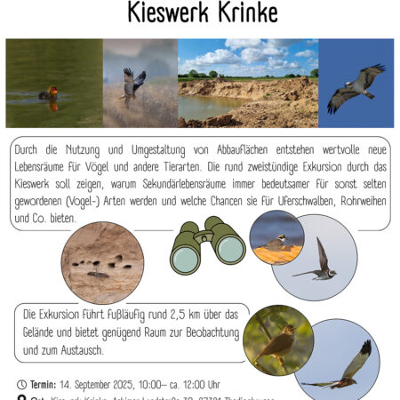 Flyer Kieswerk Krinke
