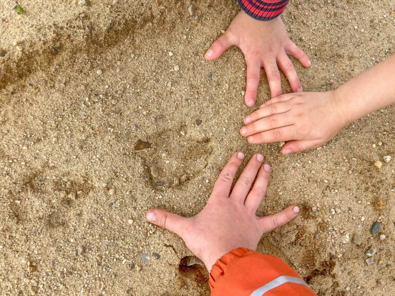 Die Entdeckung von Tierspuren (von z. B. Dachs, Wolf & Co) ist immer wieder ein beson- deres Erlebnis (Foto: Anne Stoppe).